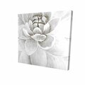 Fondo 12 x 12 in. Delicate White Chrysanthemum-Print on Canvas FO2790755